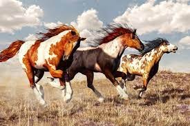 6 Major Horse Breeds